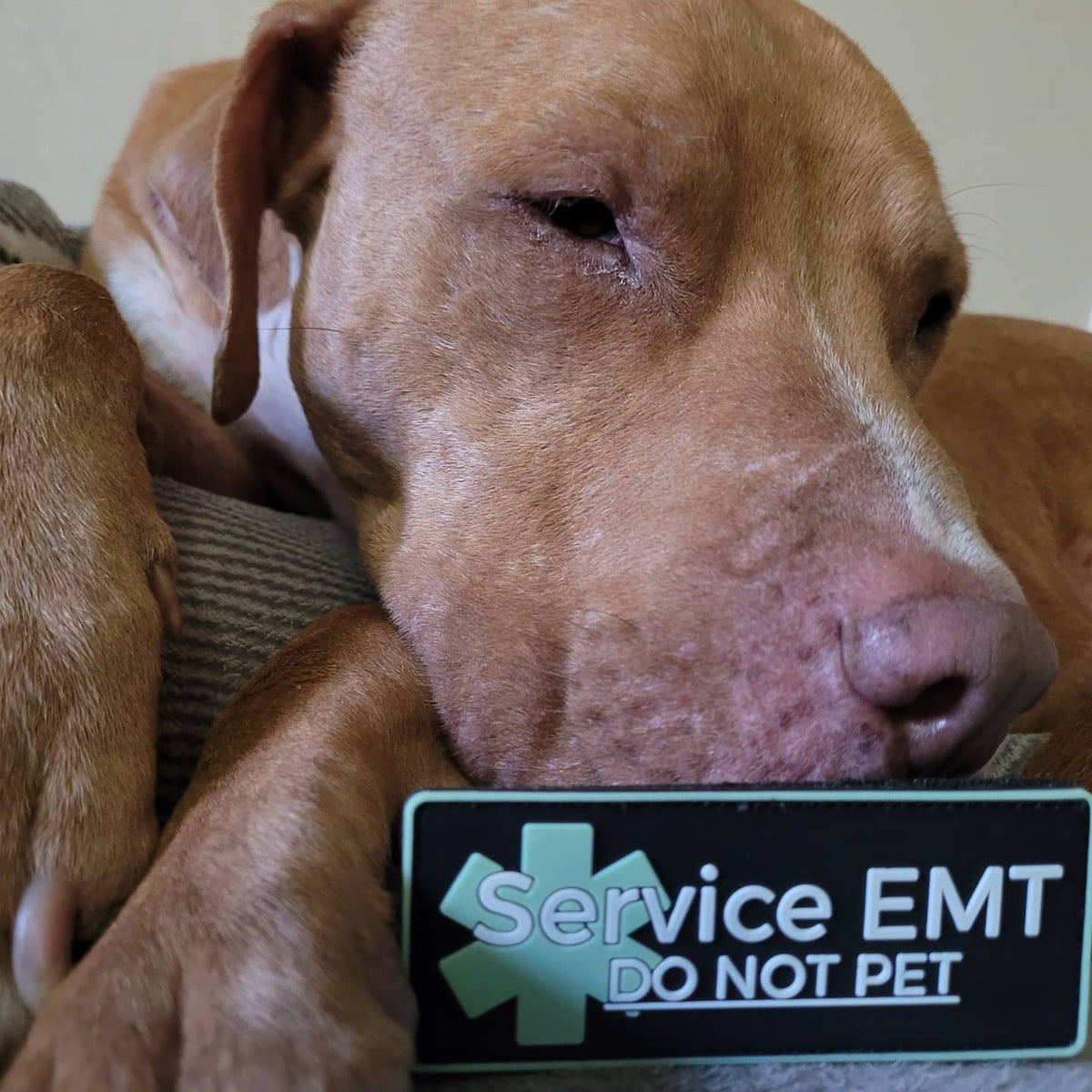 Service EMT PVC Patch - Level Zero EMS
