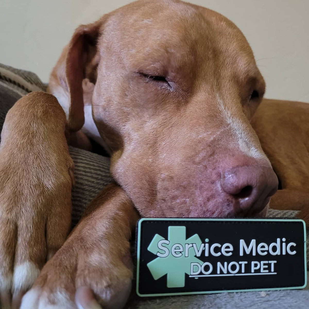 Service EMT PVC Patch - Level Zero EMS