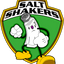 Salt Shaker Sticker - Level Zero EMS